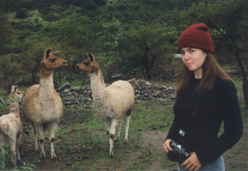 lllamas!